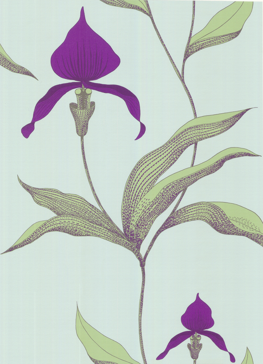 Billede af Orchid - Purple