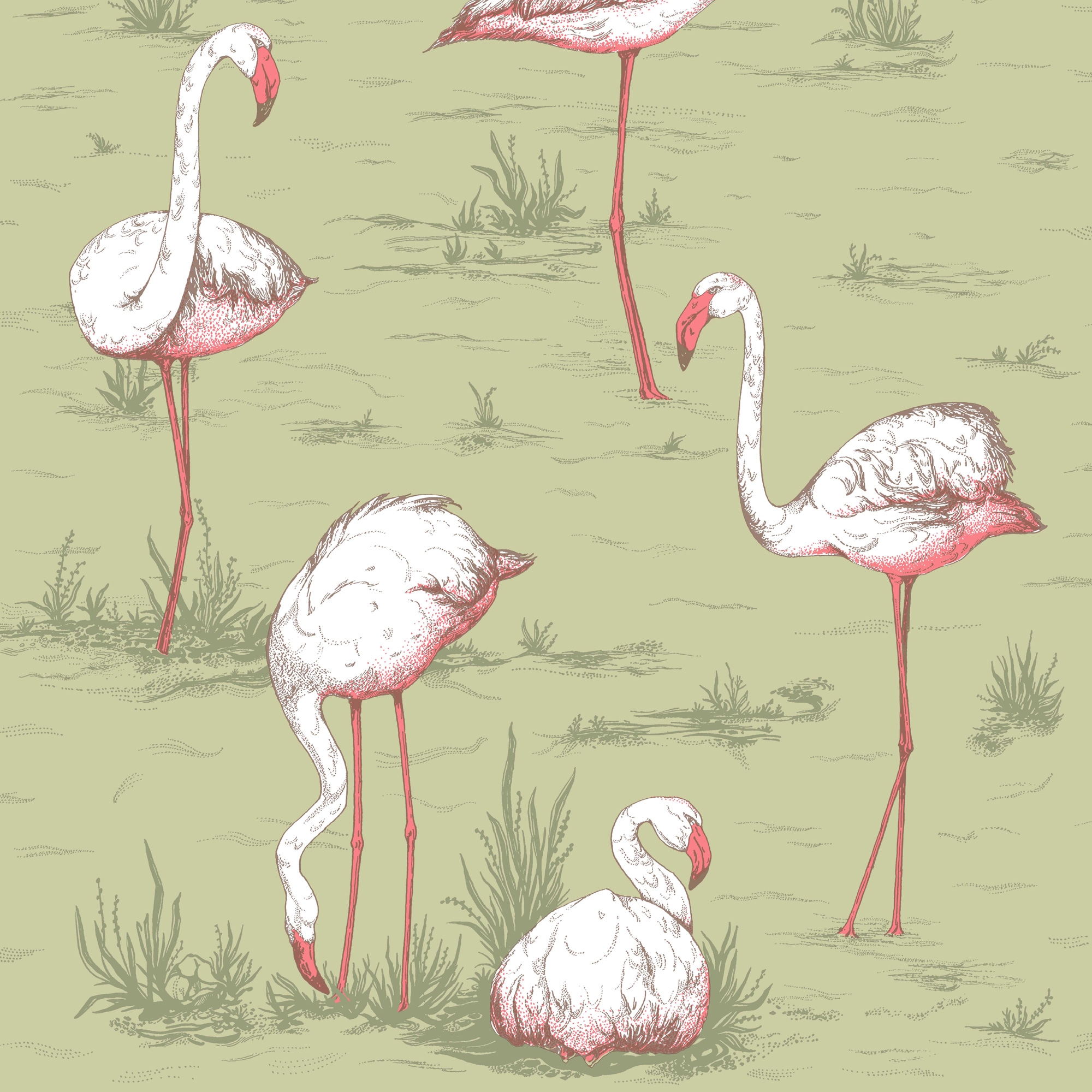 Billede af Flamingos - Olive