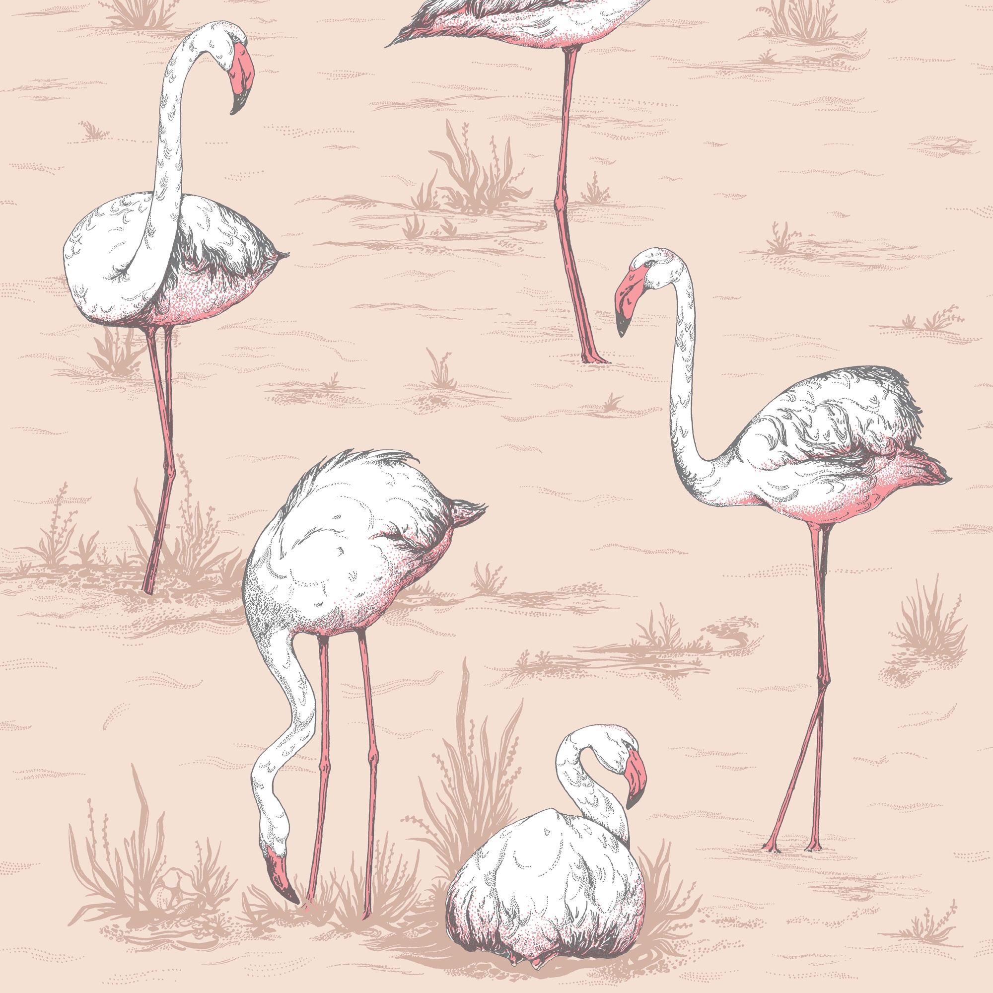 Billede af Flamingos - Ballet Slipper