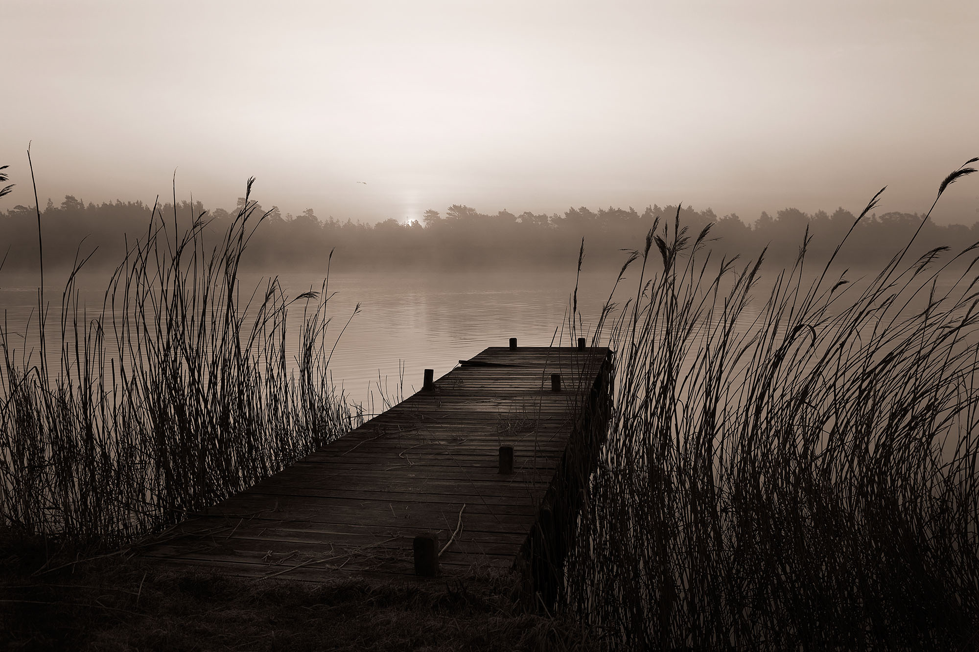 Se Misty Lake hos Picment.dk