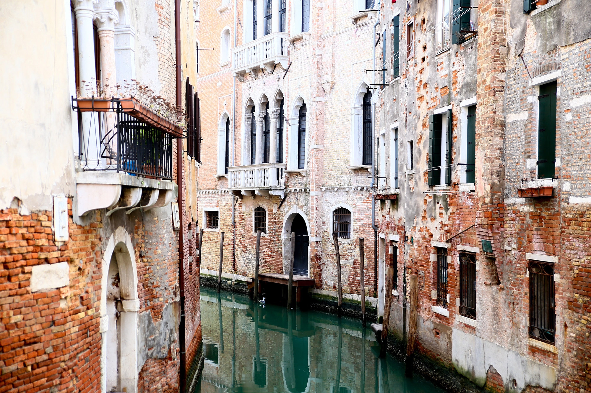 Billede af Venice