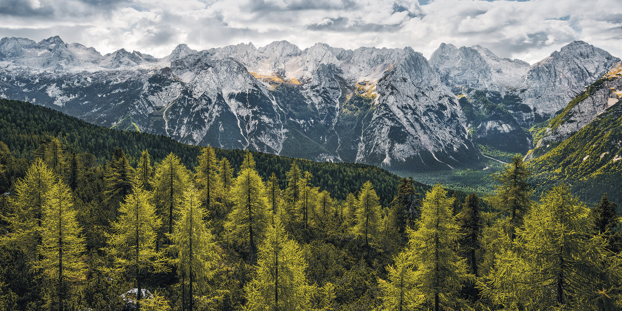 Wild Dolomites